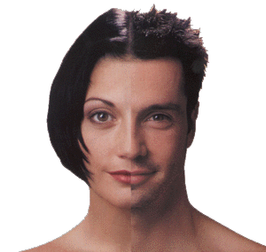 transsexual
