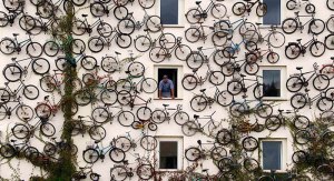 bicis-colgantesdos