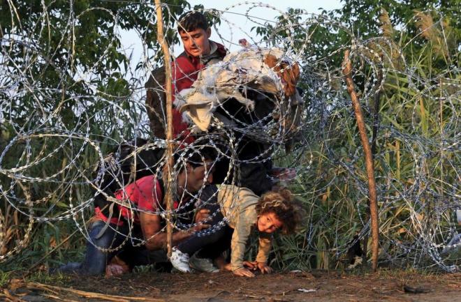 syrian-migrants-cross-under-a-fence-as-they-enter-hungary-at-the-border-with-serbia-near-roszke